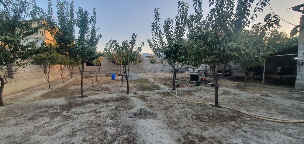 Hovli sotiladi 8 sotiq