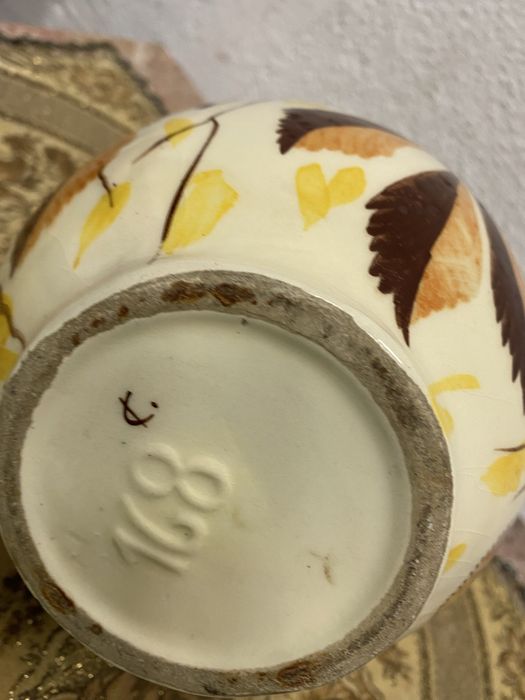 Белгийска порцеланова кана