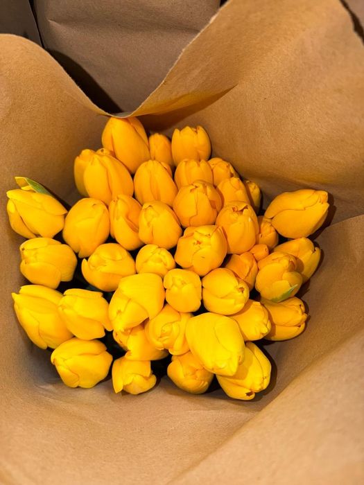Предзаказы на 8 марта тюльпаны
