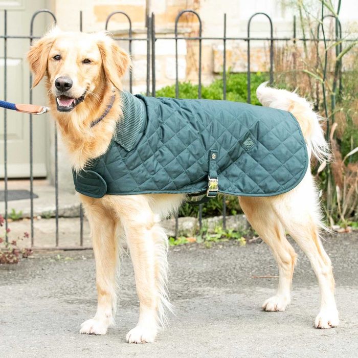 HUGO & HUDSON x HACKETT Капитонирано яке за кучета, зимно палто M40