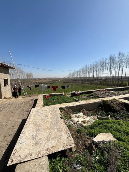 22 сотки земли с #домом по ЛУЧШЕЙ цене! Ор янгиюл Бирлик Чиназ