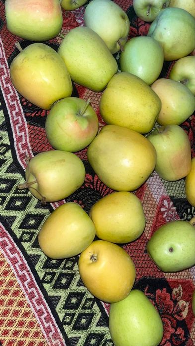 Яблоко домашнее сочное