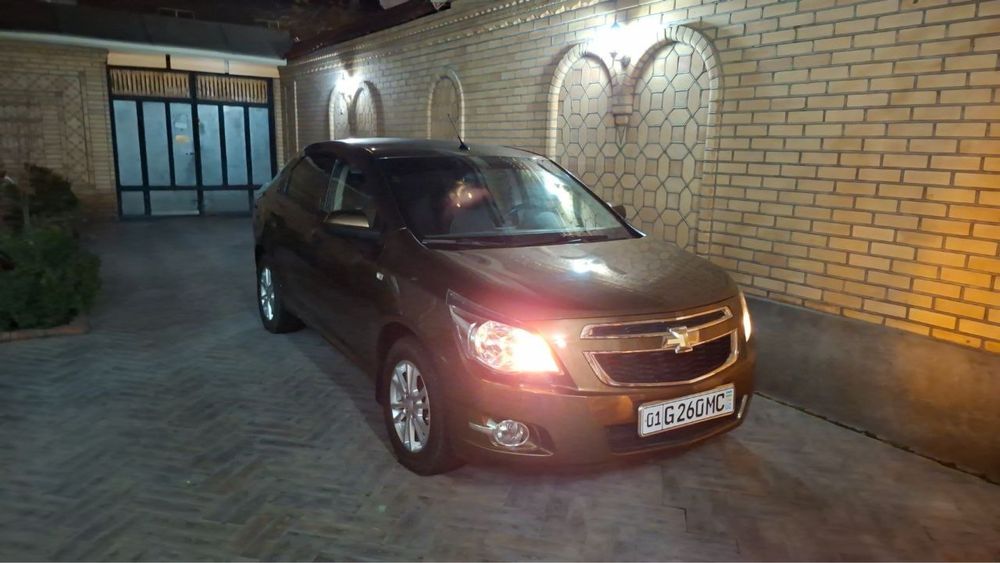 Cobalt 2024 zeus xolati ideal