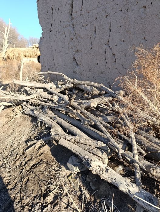 Удин сотилоди курук