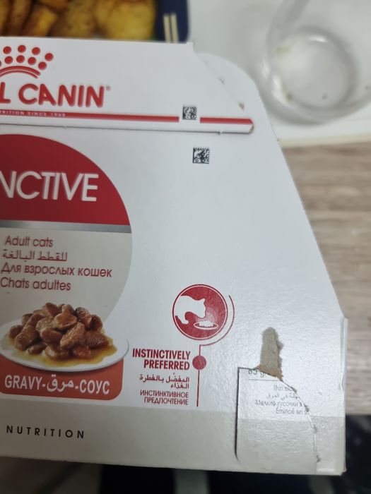 Влажный кошачий корм