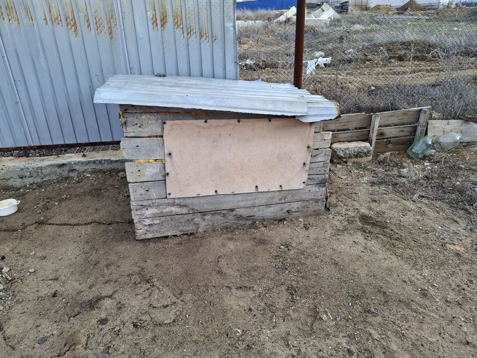 Собачья будка.  Даром