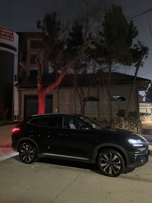 Byd chempion smart 2025