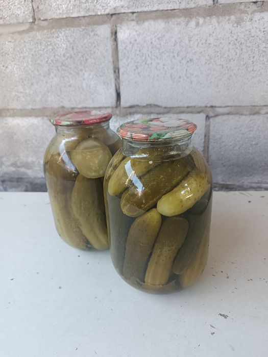 Продам домашние соленые огурчики