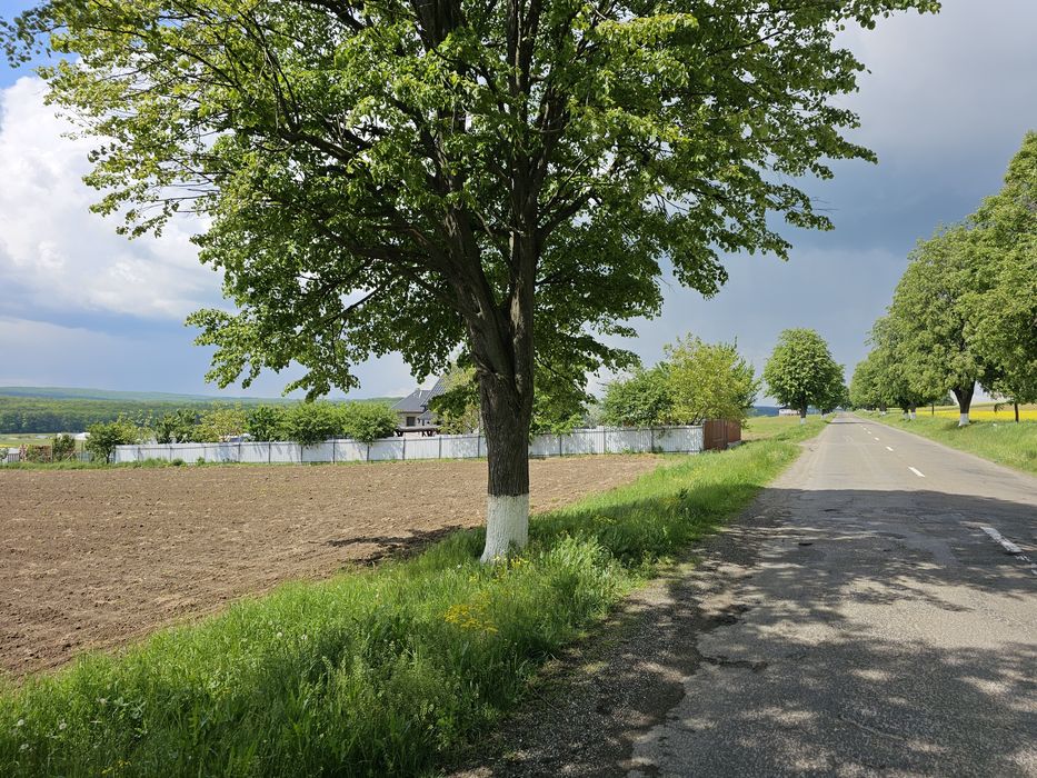 Vând 55,5 ari teren în Mitocu Dragomirnei