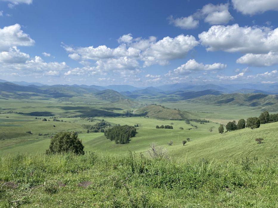 Пантокрин с Катон Карагай ВКО