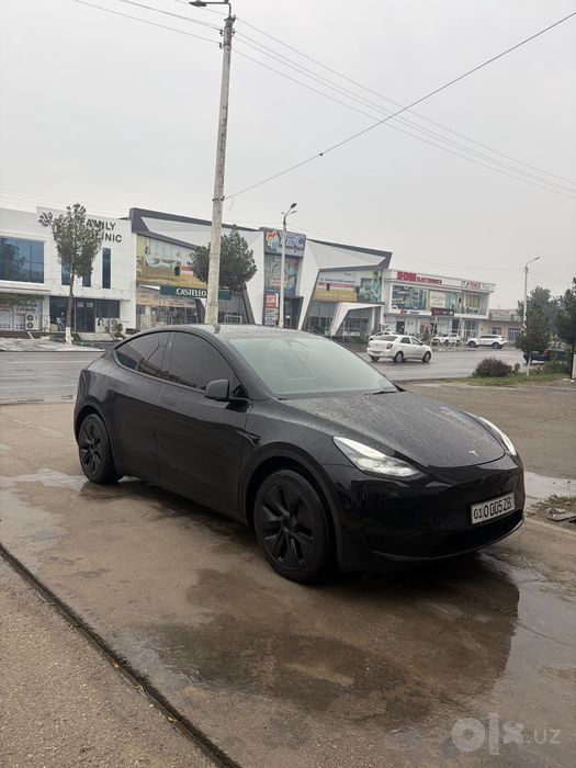 Tesla Model Y 2025
