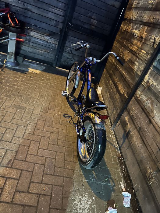Bicicleta  pentru pasionati