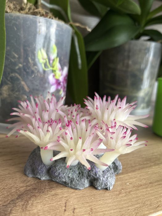 Продам декор в аквариум