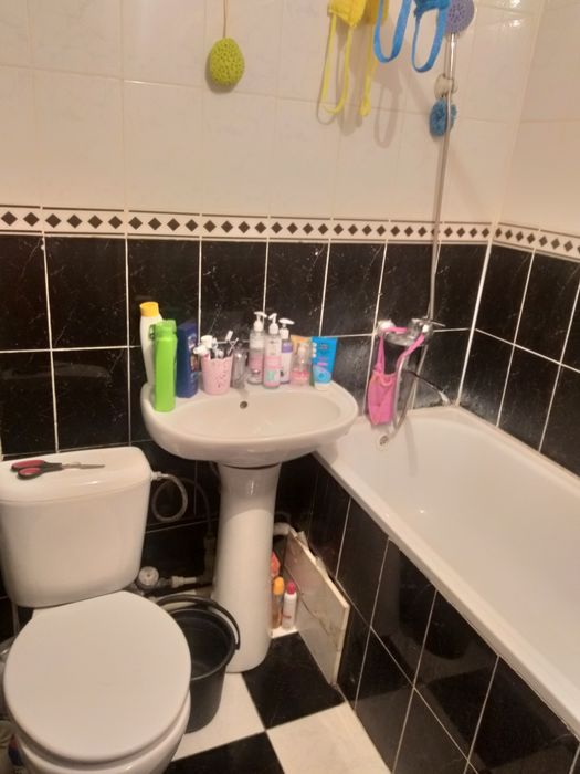 Возьму в квартиру одну девушку