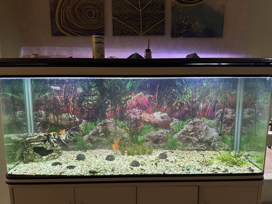 Аквариум 600 литров