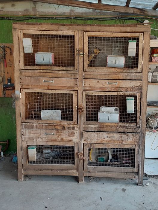 Cușcă pentru iepuri