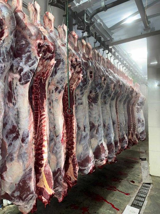 Мясо говядина тушами