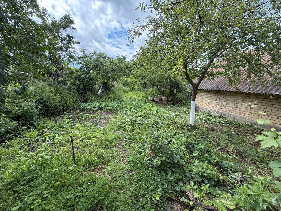 Casa in Podeni, comuna Moldovenești, potential deosebit