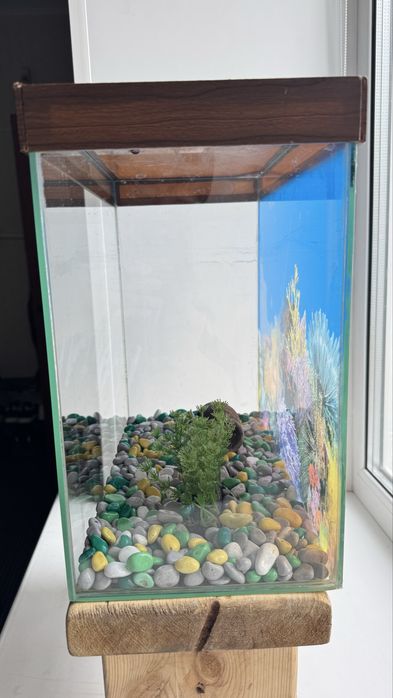 Аквариум 25 литров