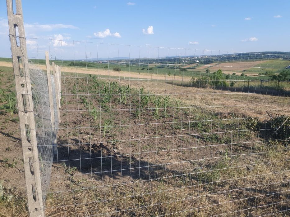 Teren de vanzare - Loc de casa in Catamarasti Deal