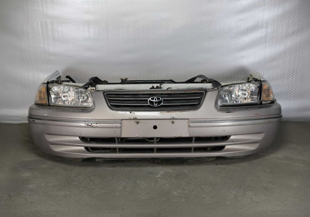 Ноускат миниморда