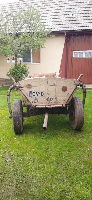 Caruta cu protap si ulube