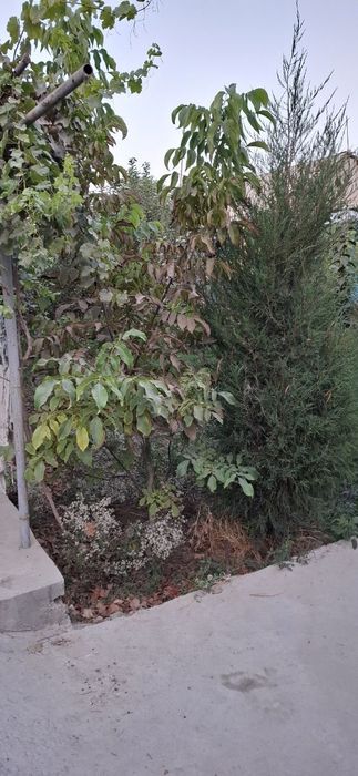 Ховли сотилади!!!