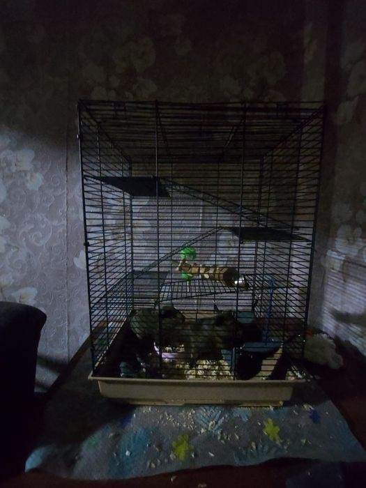 Клетка для грызынов