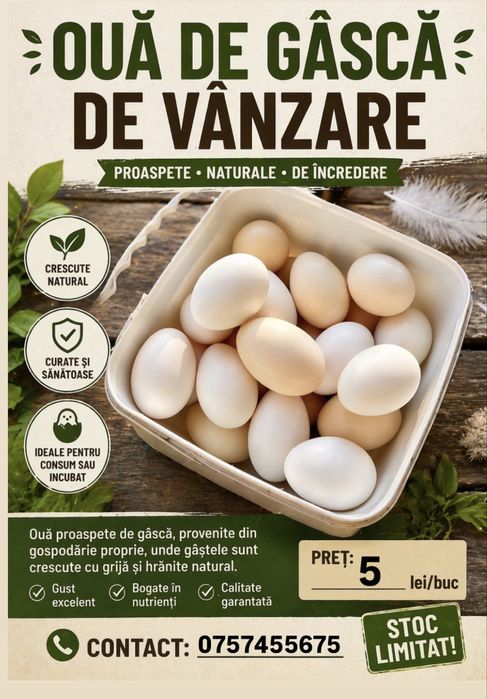 Oua de gâscă de vânzare