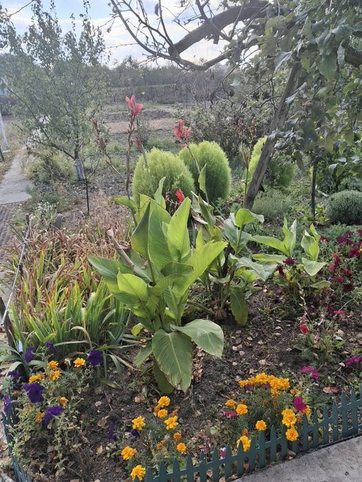 Продам дачу ск локомотивное 10