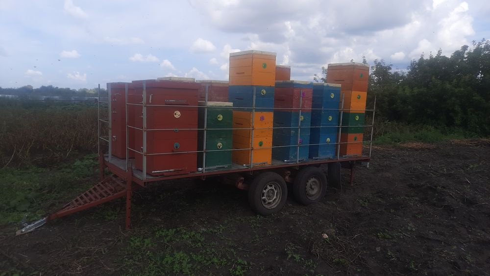 Продам пчело-прицеп!