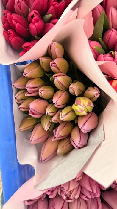 Тюльпаны (Голландская) на 8 марта оптом есть перечисленные