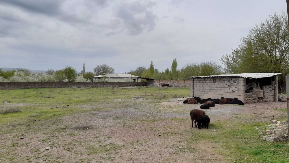 Ховли уй сотилади 38 соток, Охангарон туман Телов МФЙда