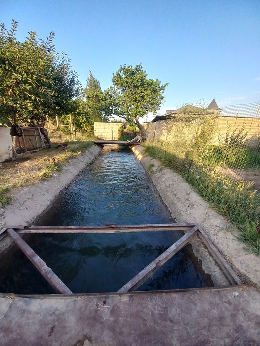 Uy sotiladi Qibray uzumzor mahallasida