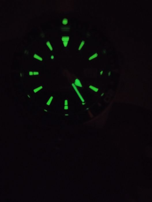 Jaguar executive diver