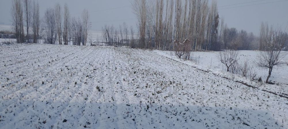 Участка сотилади срочно