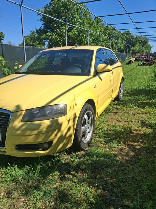 Vand Audi A3 8P 2005