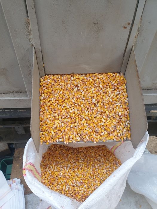 porumb și tarate de vanzare