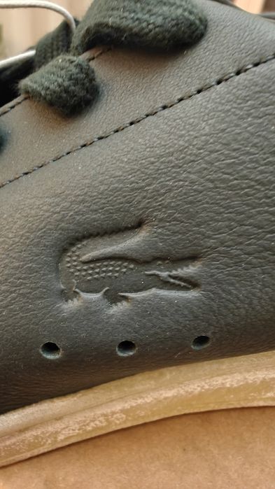 Кожаные кеды Lacoste со скидкой!