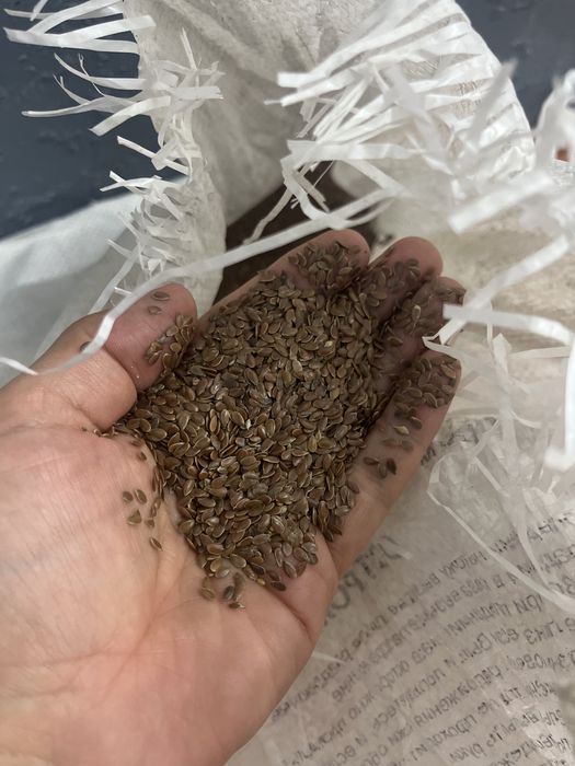 Отдам лён коричневый