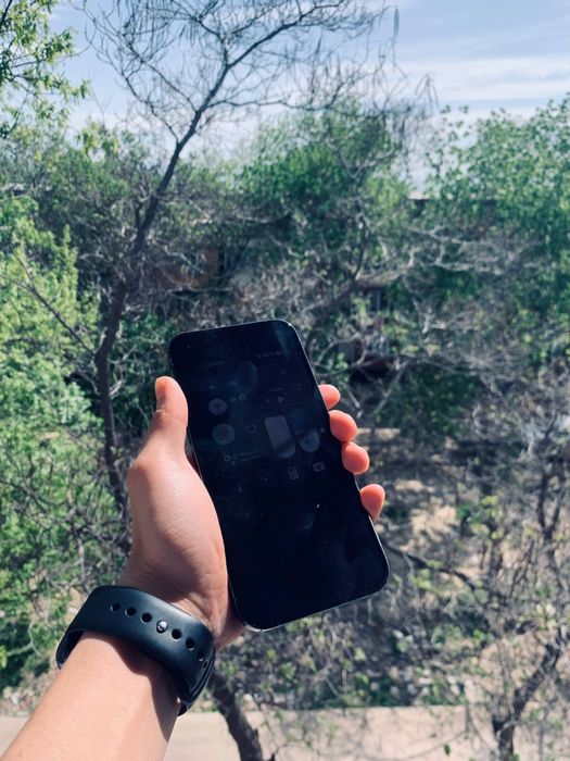 iphone 13 pro max 256gb