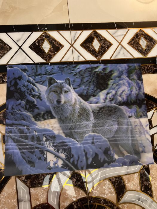 3д картина с белым волком