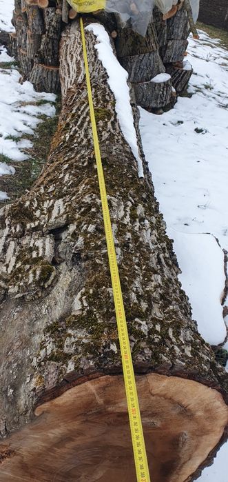 Vând Nuc  de 100 de ani