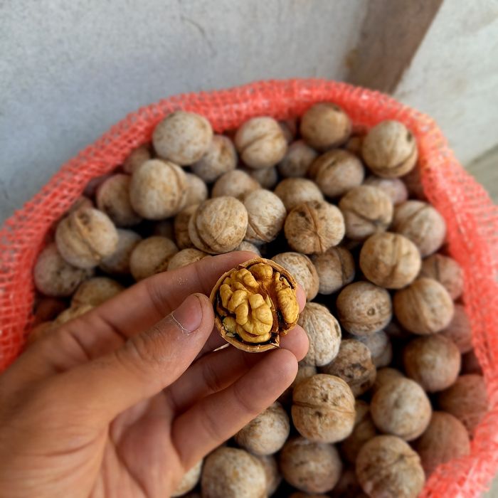 Грецкий орех в скорлупе yongok chaqilmagan