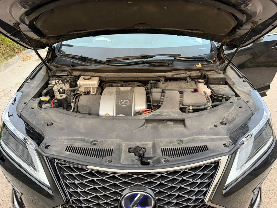 LEXUS RX 2020 — imagine 5