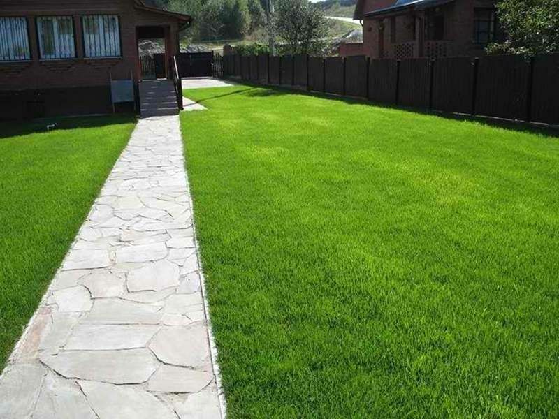 Косим траву, Газон