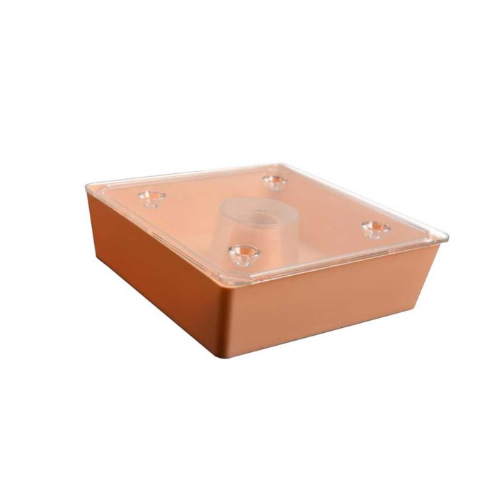 Пчелна поилка голяма за кошери с пчели медни пити основи ваденена мед