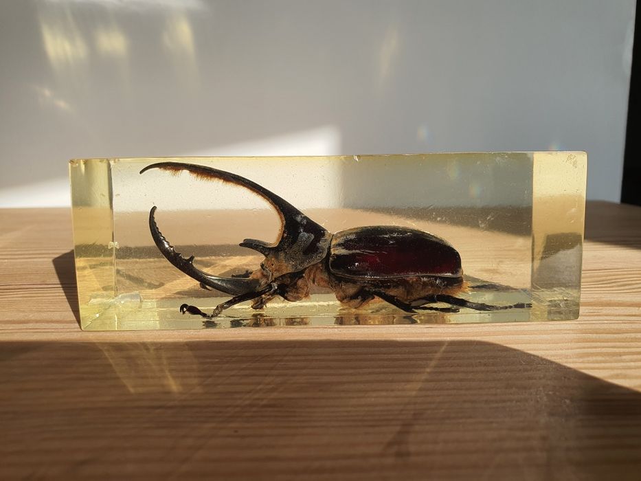 Пресс Папье Сувенир