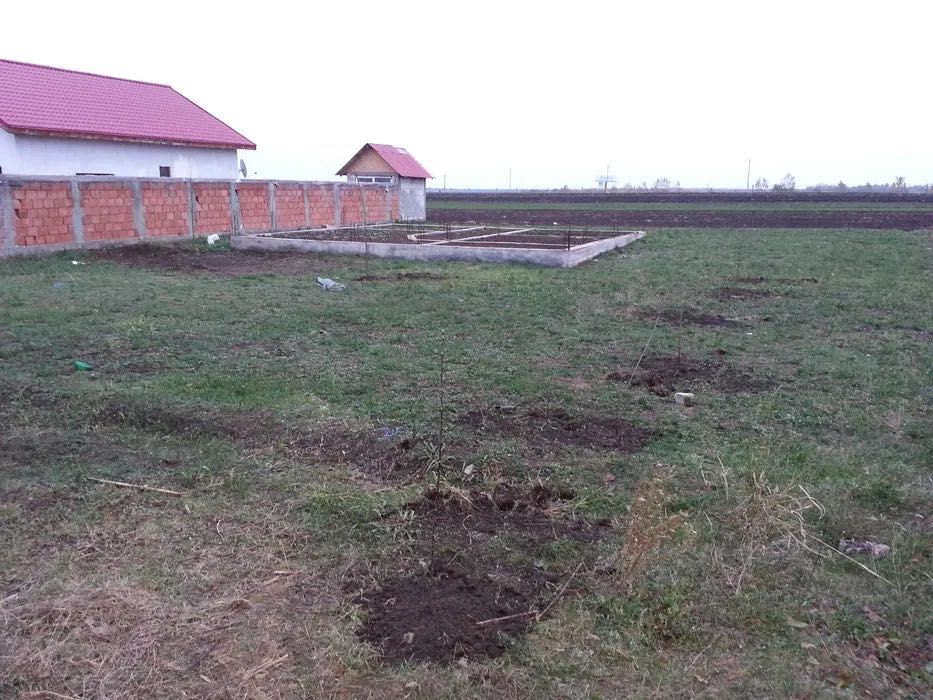 Lot de casă intravilan