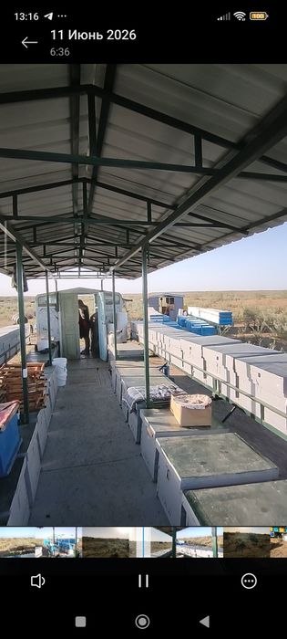 Пчелоприцеп Зил с пчелами